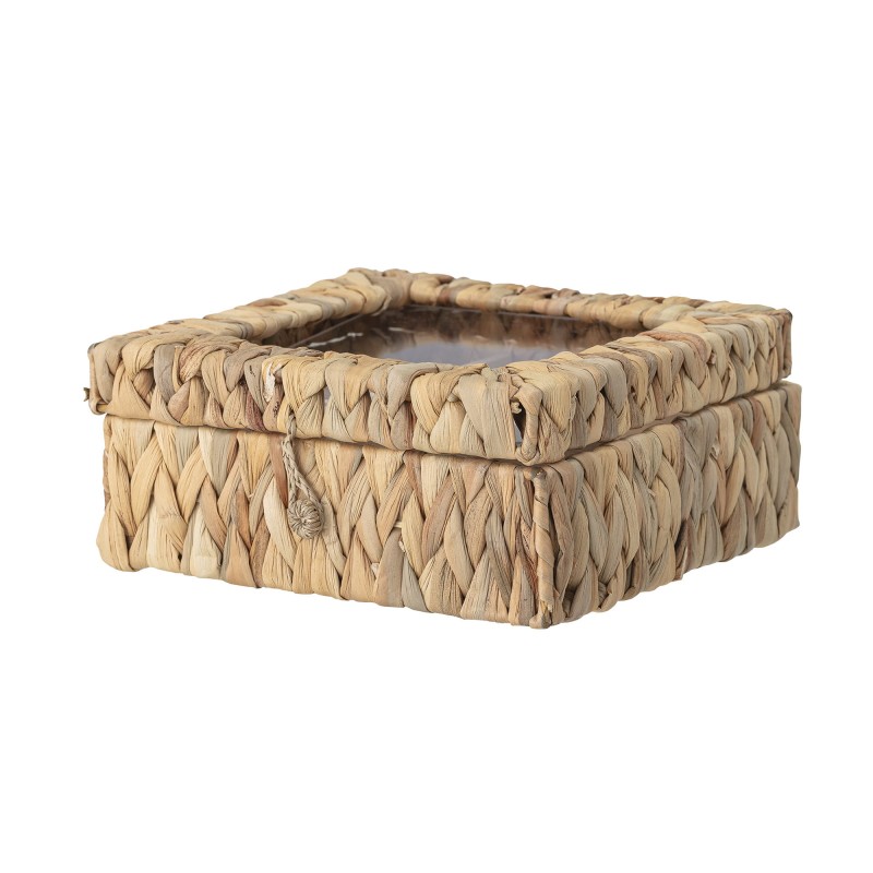 Pojemnik na Żywność i den Hiacynt Wodny 23 x 10 x 23 cm na Herbatę Przegrody