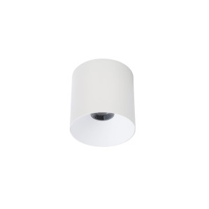 Punktowa lampa LED Natynkowa 20W Biała NOWODVORSKI