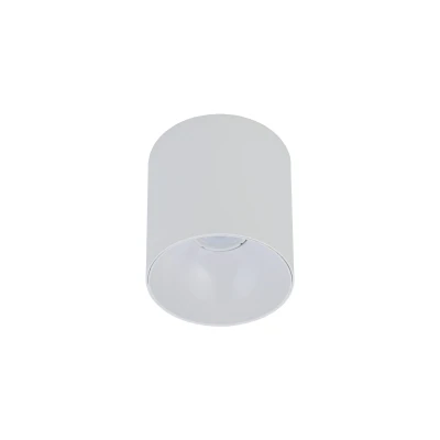 Lampa sufitowa punktowa POINT TONE 10W LED Biały Nowodvorski