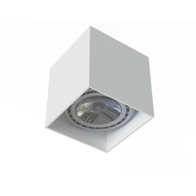 Lampa sufitowa punktowa COBBLE 75W IP20 GU10 Biały Nowodvorski