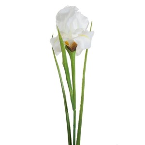 Kwiat dekoracyjny Natu 381, kremowy, 61 cm, szt. 6