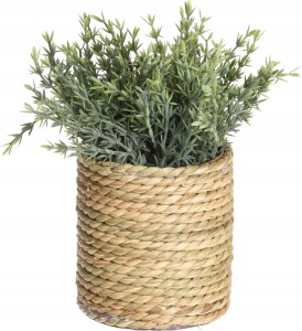 Ozdobna roślina w doniczce wykonanej z trawy morskiej, o wymiarach 11x23 cm asparagus