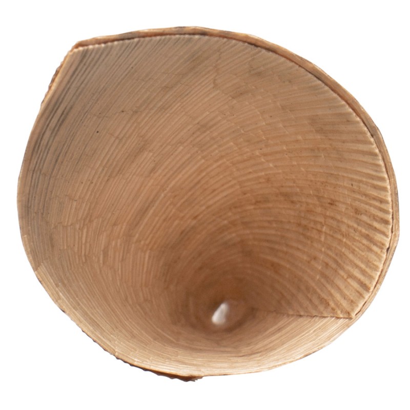2488cca435d0763de329f968768ce214