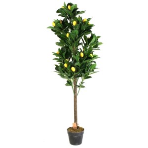 Fernity Sztuczne drzewo cytrynowe 120 cm