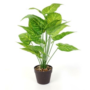 Fernity Sztuczna roślina Alocasia 55cm w czarnej donicy