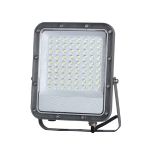 Italux Timbo  Naświetlacz FD-23913-50W Szary