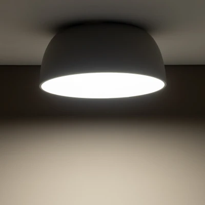36d8993d969f905bd9cfcd0d2e260243