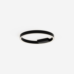 Maytoni Modern Rim Lampa sufitowa MOD058CL-L25BK Black