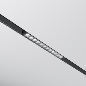 Maytoni Technical Points Lampa szynowa TR031-2-12W4K-B Black