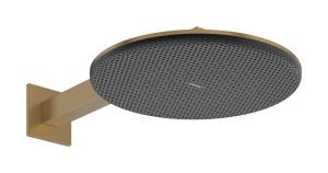 Hansgrohe Raindance Alive S Głowica prysznicowa 300 2jet z ramieniem 24540140