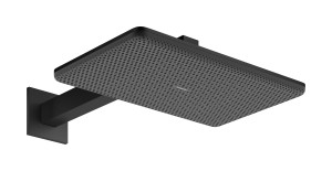 Hansgrohe Raindance Alive Q Głowica prysznicowa 210/340 2jet 24550670