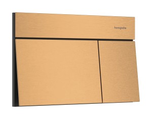 Hansgrohe iFrame Element E Przycisk spłukujący 66003140