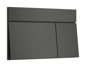 Hansgrohe iFrame Element E Przycisk spłukujący 66003340