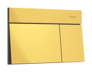 Hansgrohe iFrame Element E Przycisk spłukujący 66003990