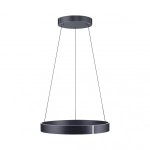 Paul Neuhaus E-Clipse 003902-031688