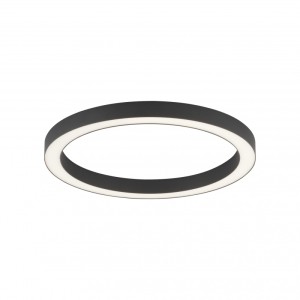 Paul Neuhaus PURE Lines Round 003902-027053