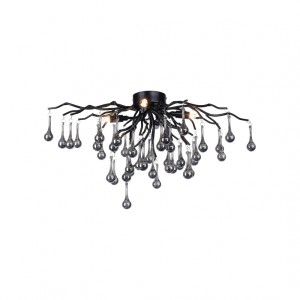 Paul Neuhaus ICICLE 003902-027042