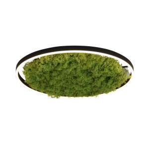 Paul Neuhaus GREEN RITUS 003902-026996