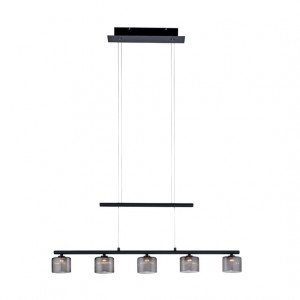 Lampa wisząca Paul Neuhaus HYDRA 2209-18 3000K 2209-18