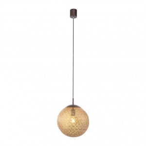 Paul Neuhaus Lampa wisząca E27/60W/230V 2420-48