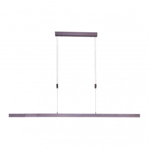 Paul Neuhaus 2568-24 - Lampa wisząca LED 45W 230V, regulacja barwy