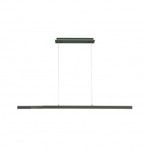 Paul Neuhaus 2569-13 - Lampa wisząca LED 55W 230V regulacja barwy