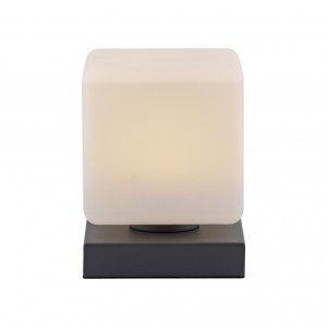 Paul Neuhaus Lampa stołowa LED 7W 230V 3000K 4036-13