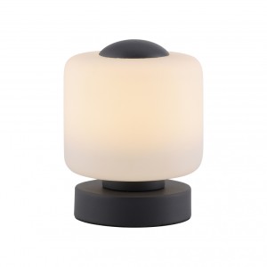 Paul Neuhaus 4037-13 - Lampa stołowa LED 7W 230V 3000K