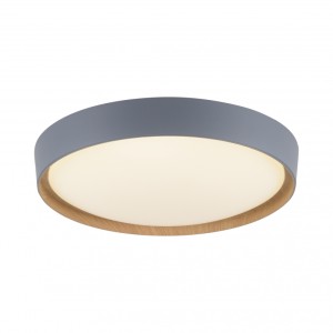 Paul Neuhaus 6118-15 - Lampa sufitowa LED 40W 230V, regulacja barwy