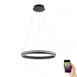 Paul Neuhaus 8411-13 - Lampa wisząca LED 44W 230V, regulacja barwy