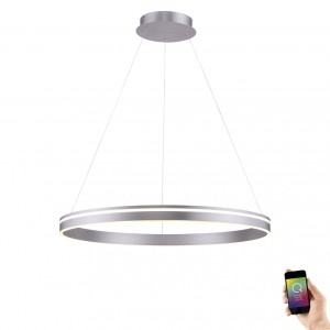 Paul Neuhaus 8412-55 - Lampa wisząca LED 65W 230V regulacja barwy