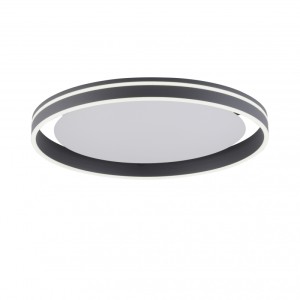 Paul Neuhaus 8416-13 - Lampa sufitowa LED 44W 230V, regulacja barwy