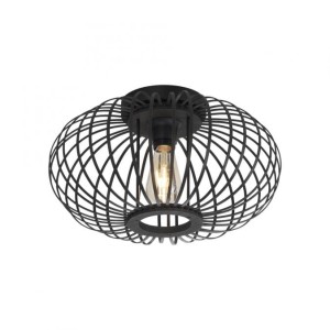 LAMPA SUFITOWA RACOON 11410-18 LEUCHTEN 11410-18