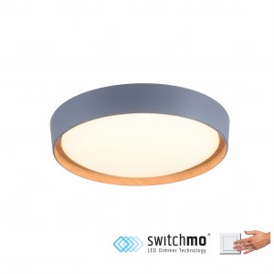 LAMPA SUFITOWA EMILIA 1 PUNKTOWA SZARY LEUCHTENDIREKT 14347-15