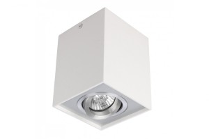 AZZARDO ELOY 1 WH/ALU PLAFON AZ0872