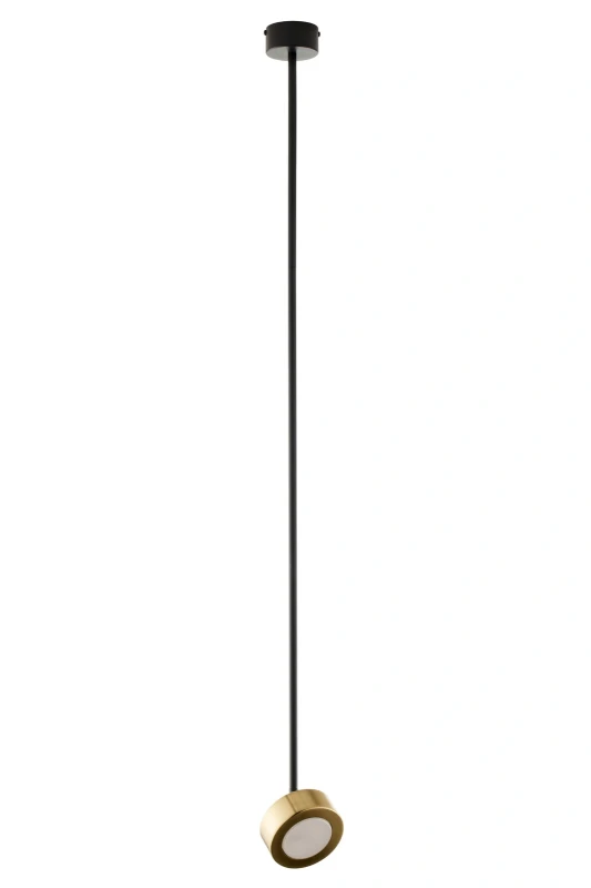 e41f725bd249b4fd0f121238e33d4397