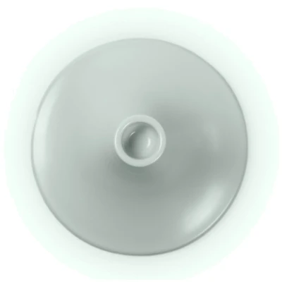 2100e15e0925217bc62b8811d52acaff