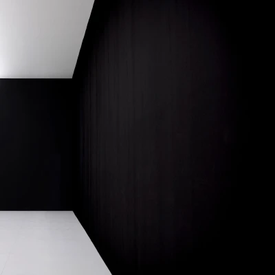 c0d0006d10d9a2a59b2d2155e947db97