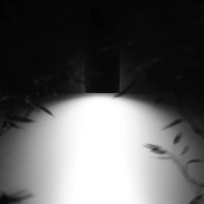 ca6fa5c761bcd9e60f66e7b64044bd96