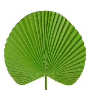 SZTUCZNY KWIAT SZTUCZNY LIŚĆ OZDOBNY 22 CM ZIELONY 6szt