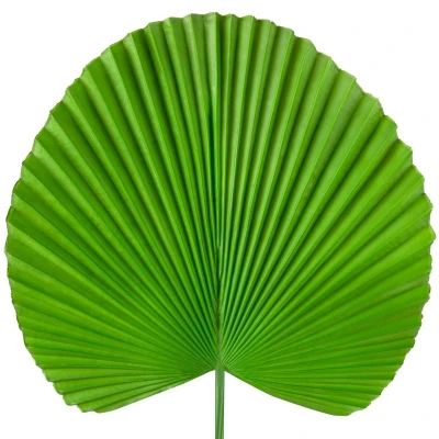 SZTUCZNY KWIAT SZTUCZNY LIŚĆ OZDOBNY 38 CM ZIELONY 6szt