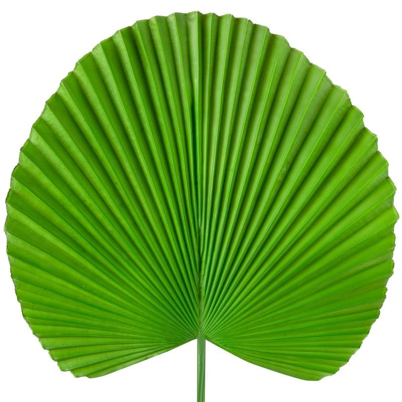 SZTUCZNY KWIAT SZTUCZNY LIŚĆ OZDOBNY 38 CM ZIELONY 6szt